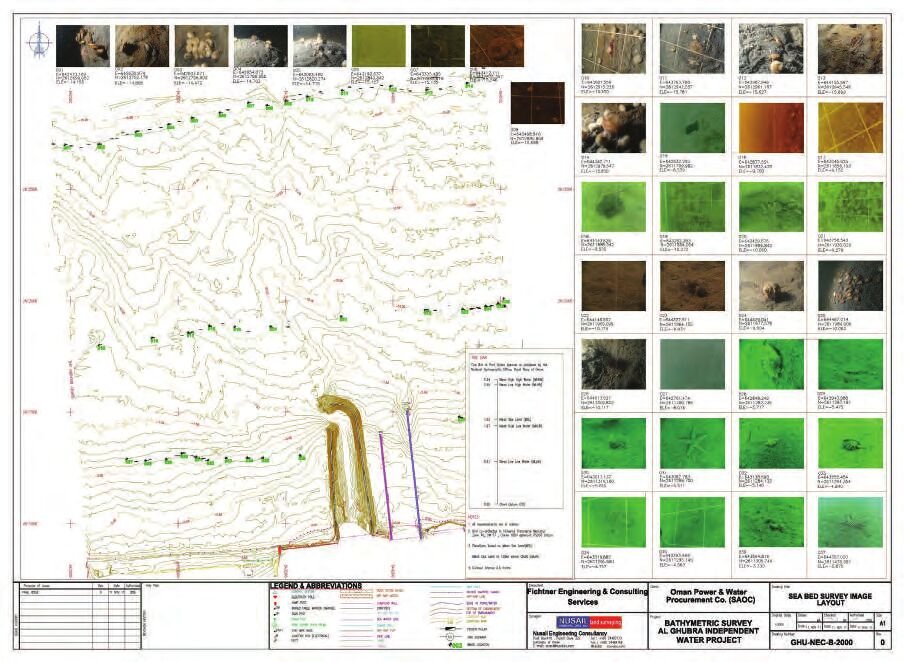 Benthic species chart from the Al Ghubrah IWP seabed survey